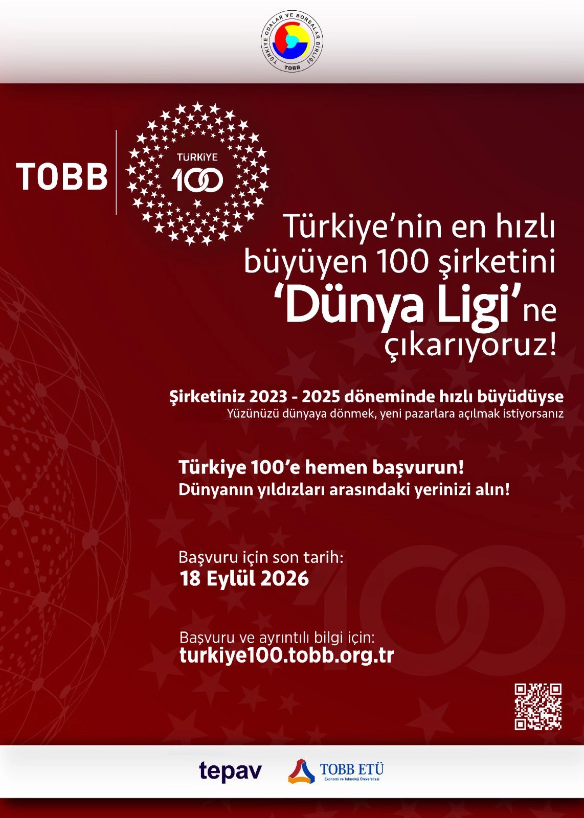 Türkiye 100 Programı